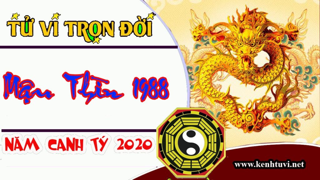 tu-vi-tron-doi-tuoi-mau-thin-nam-2020